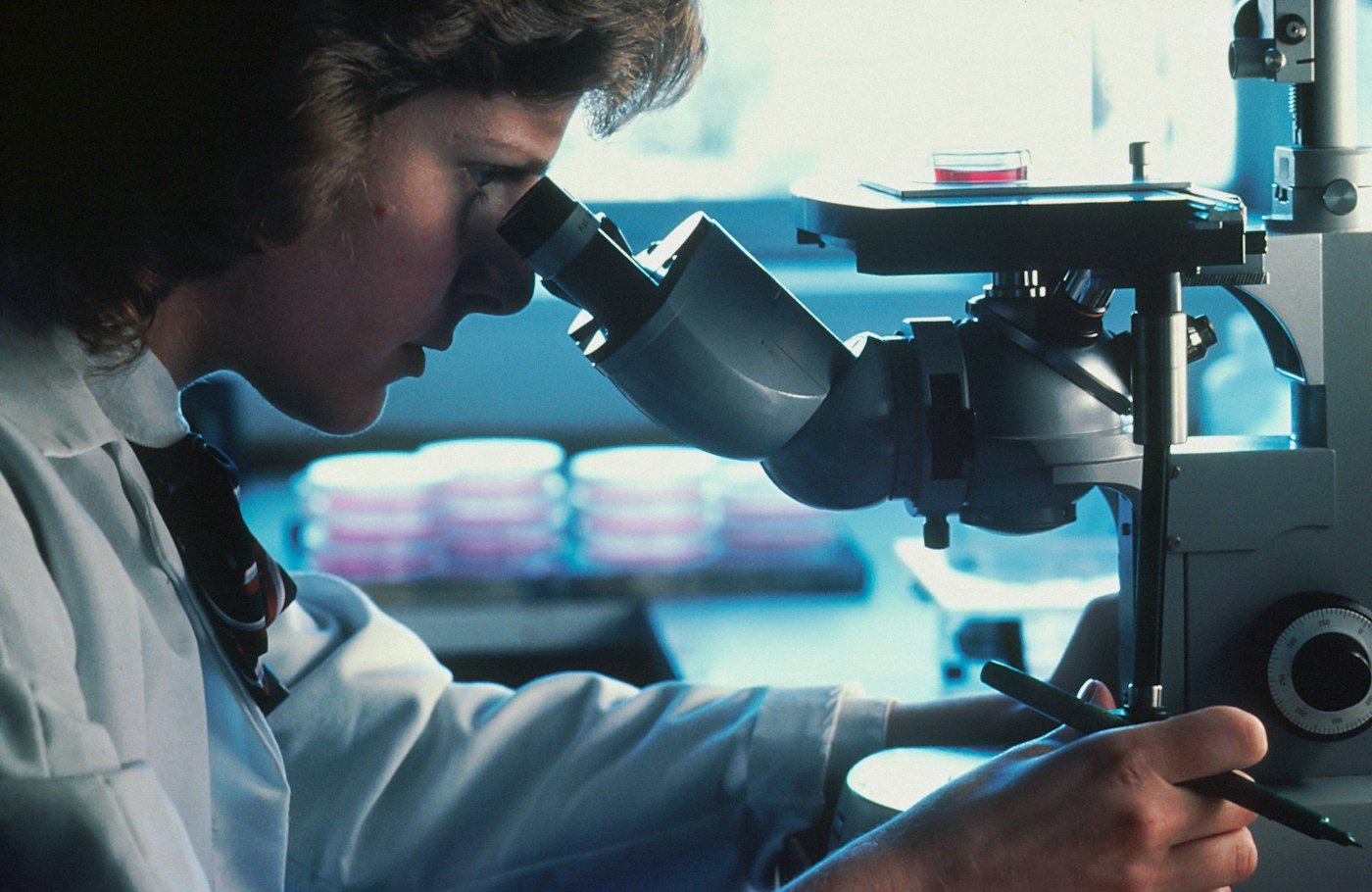 Observation de cellules au microscope en laboratoire