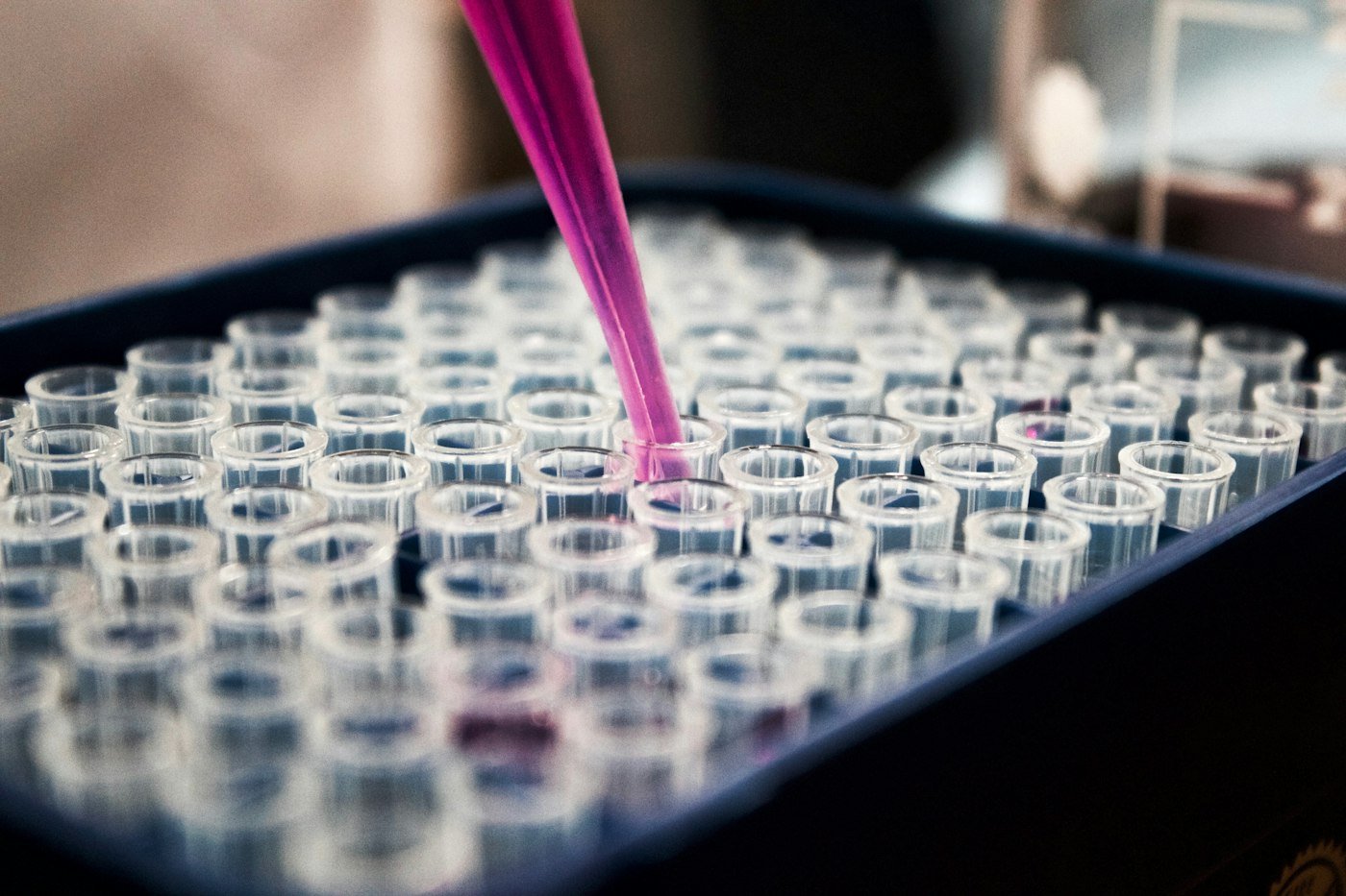 Pipette déposant un liquide dans une plaque de laboratoire